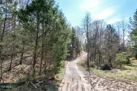 Exterior - 480 Obe Kirk Loop Mohawk Tn 37810, Mohawk, TN 37810 photo 4 of 12