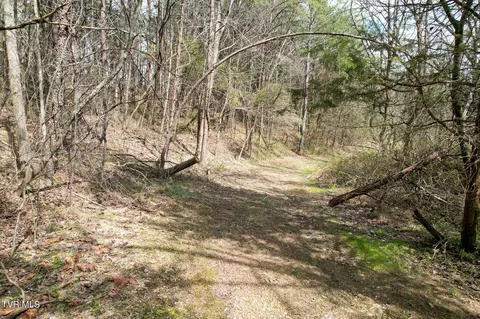 Other - 480 Obe Kirk Loop Mohawk Tn 37810, Mohawk, TN 37810 photo 25 of 26