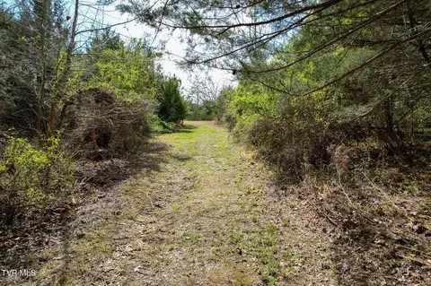 Exterior - 480 Obe Kirk Loop Mohawk Tn 37810, Mohawk, TN 37810 photo 10 of 12