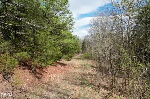 Other - 480 Obe Kirk Loop Mohawk Tn 37810, Mohawk, TN 37810 photo 22 of 26