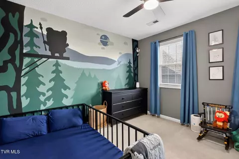 Bedroom - 105 Meadow Court Gray Tn 37615, Gray, TN 37615 photo 6 of 6