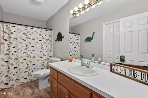 Bath - 105 Meadow Court Gray Tn 37615, Gray, TN 37615 photo 5 of 5