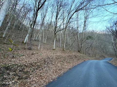 14 Ac Horton Ford Road Eidson Tn 37731, Eidson, TN 37731 photo 5