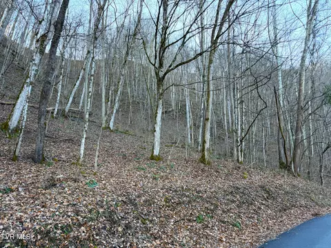 14 Ac Horton Ford Road Eidson Tn 37731, Eidson, TN 37731 photo 4