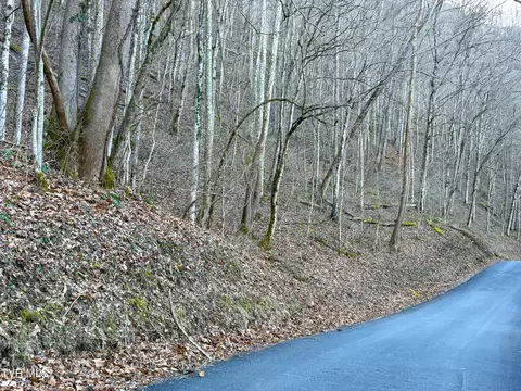 14 Ac Horton Ford Road Eidson Tn 37731, Eidson, TN 37731 photo 8