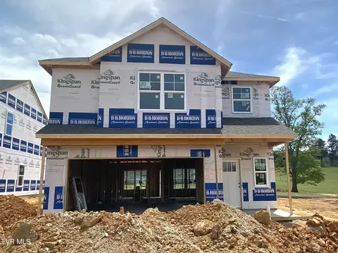 167 Wisteria Drive Bluff City Tn 37618, Bluff City, TN 37618