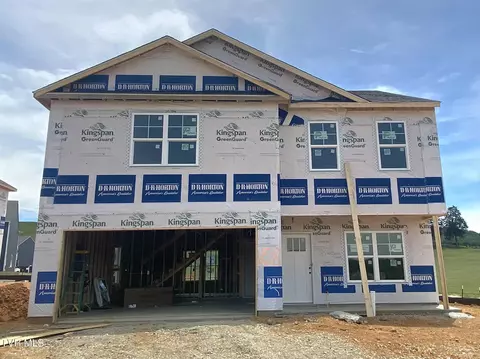 185 Wisteria Drive Bluff City Tn 37618, Bluff City, TN 37618