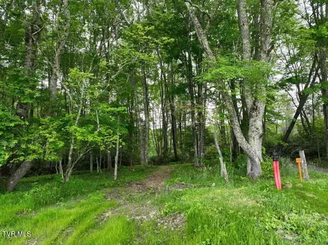 1762 Ripshin Mountain Road Roan Mountain Tn 37687, Roan Mountain, TN 37687
