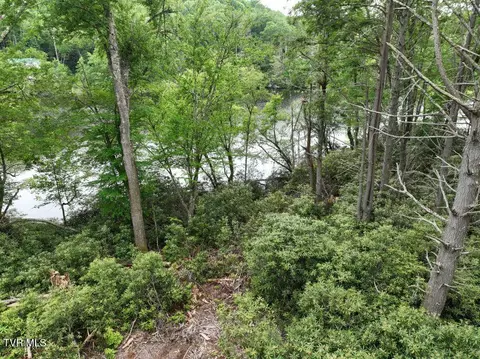 1768 Ripshin Mountain Road Roan Mountain Tn 37687, Roan Mountain, TN 37687