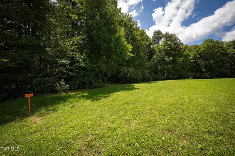 1772 Ripshin Mountain Road Roan Mountain Tn 37687, Roan Mountain, TN 37687