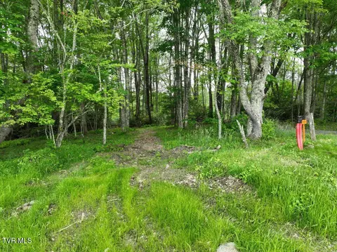 1776 Ripshin Mountain Road Roan Mountain Tn 37687, Roan Mountain, TN 37687