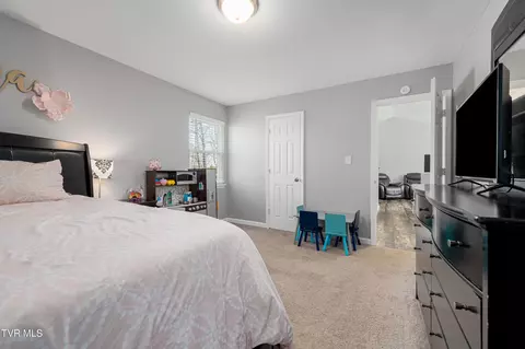 Bedroom - 283 Ridgeview Drive Gray Tn 37615, Gray, TN 37615 photo 2 of 6