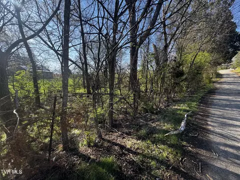 0 Kirkham Road 0 Bean Station Tn 37708, Bean Station, TN 37708