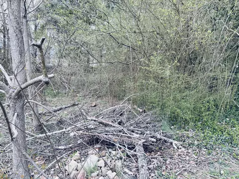 128 Parsley Street Erwin Tn 37650, Erwin, TN 37650 photo 5
