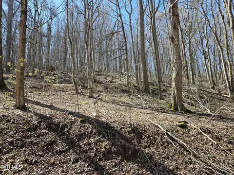 0 Shuler Hollow Road Chilhowie Va 24319, Chilhowie, VA 24319
