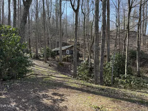 1770 Red Brush Road Mountain City Tn 37683, Mountain City, TN 37683