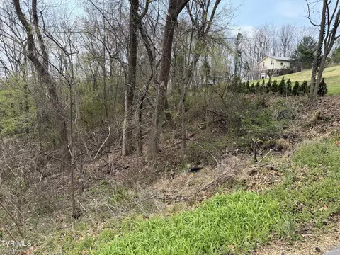 410 Crystal View Street Kingsport Tn 37660, Kingsport, TN 37660