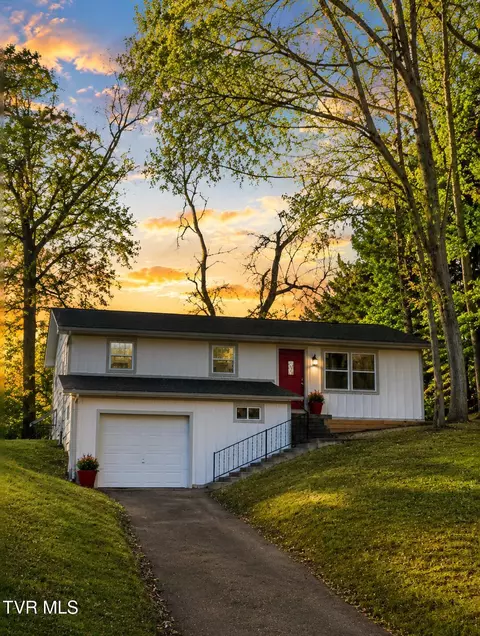 317 Rosemary Lane Piney Flats Tn 37686, Piney Flats, TN 37686