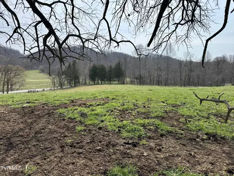 lot1 Old Snapps Ferry Road Limestone Tn 37681, Limestone, TN 37681
