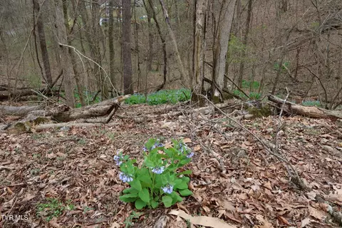 tbd Lakeside Drive Johnson City Tn 37615, Johnson City, TN 37615