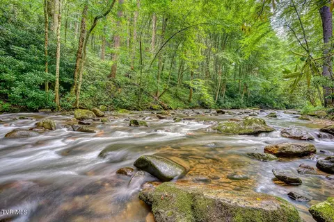 206 Toms Creek Drive Roan Mountain Tn 37687, Roan Mountain, TN 37687