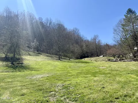 111 Doty Road Roan Mountain Tn 37687, Roan Mountain, TN 37687