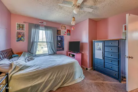 Bedroom - 440 Love Street Erwin Tn 37650, Erwin, TN 37650 photo 13 of 13