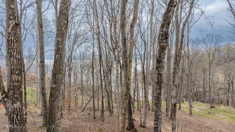 lot3 Lowe Drive Talbott Tn 37877, Talbott, TN 37877 photo 8