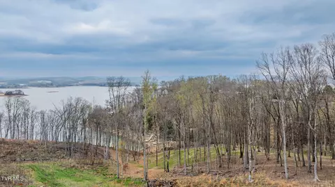 lot3 Lowe Drive Talbott Tn 37877, Talbott, TN 37877 photo 5