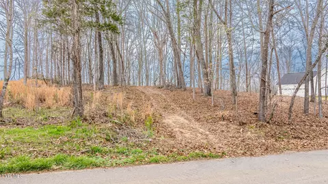 lot3 Lowe Drive Talbott Tn 37877, Talbott, TN 37877 photo 10