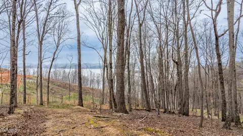 lot3 Lowe Drive Talbott Tn 37877, Talbott, TN 37877 photo 4