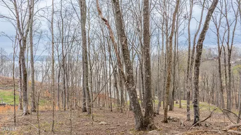 lot3 Lowe Drive Talbott Tn 37877, Talbott, TN 37877 photo 7