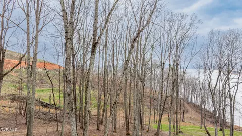 lot3 Lowe Drive Talbott Tn 37877, Talbott, TN 37877 photo 9