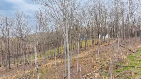 lot3 Lowe Drive Talbott Tn 37877, Talbott, TN 37877 photo 6