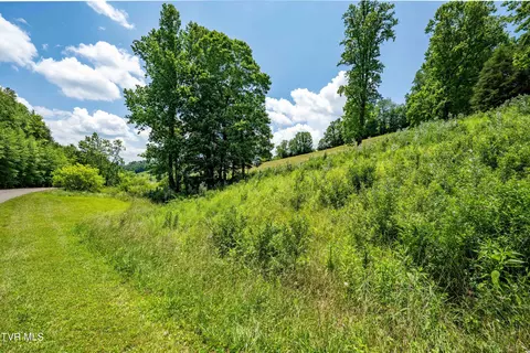 tbd Ridgeview Drive Mountain City Tn 37683, Mountain City, TN 37683