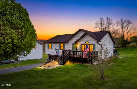 253 Springview Drive Gray Tn 37615, Gray, TN 37615