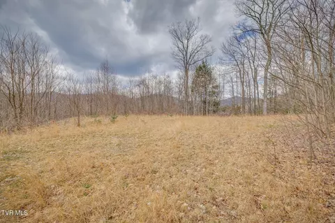 614 Tulip Poplar Trail Butler Tn 37640, Butler, TN 37640