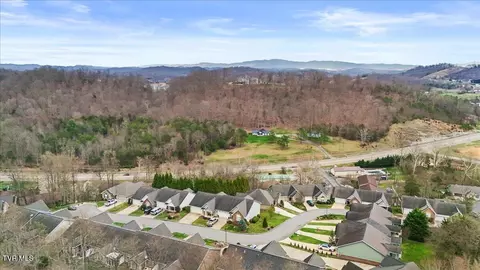 View/Area - 216 Bridgewater Court Gray Tn 37615, Gray, TN 37615 photo 3 of 5