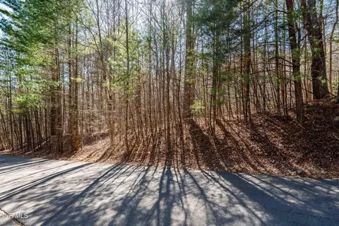 lot39 Bear Ridge Drive Butler Tn 37640, Butler, TN 37640