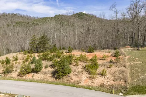 lot47 Homestead Drive Unicoi Tn 37692, Unicoi, TN 37692