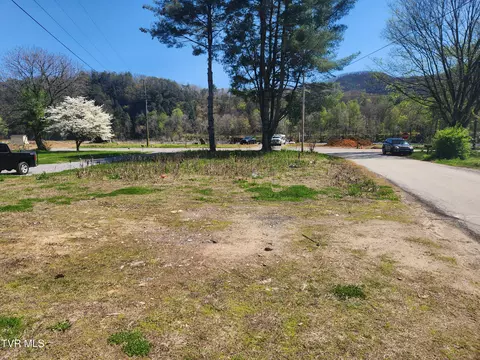 175 Bumpus Cove Road Erwin Tn 37650, Erwin, TN 37650