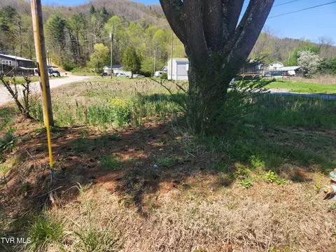 175 Bumpus Cove Road Erwin Tn 37650, Erwin, TN 37650 photo 3