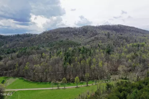 116 Ac Tbd Houston Valley Tract 6 Road Greeneville Tn 37743, Greeneville, TN 37743