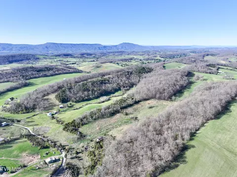 lot2 Morrison Road Chuckey Tn 37641, Chuckey, TN 37641 photo 17