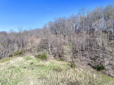 lot2 Morrison Road Chuckey Tn 37641, Chuckey, TN 37641 photo 14