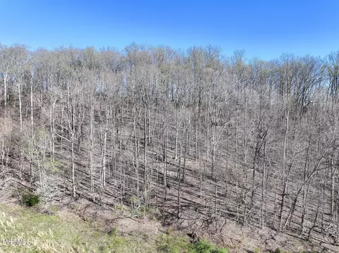 lot2 Morrison Road Chuckey Tn 37641, Chuckey, TN 37641 photo 12