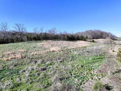 lot2 Morrison Road Chuckey Tn 37641, Chuckey, TN 37641 photo 7
