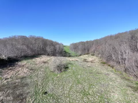 lot2 Morrison Road Chuckey Tn 37641, Chuckey, TN 37641 photo 10