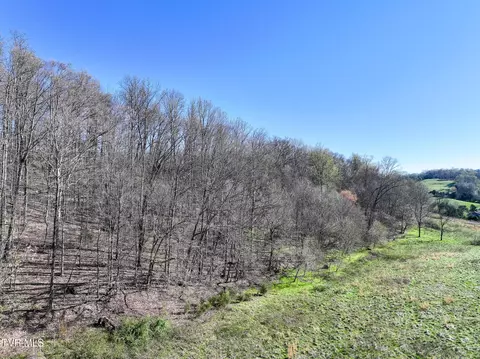 lot2 Morrison Road Chuckey Tn 37641, Chuckey, TN 37641 photo 13