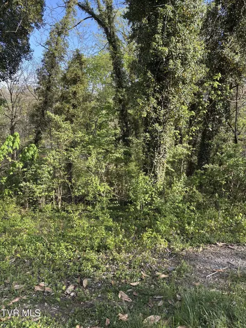 lot14 Ashley Street Kingsport Tn 37664, Kingsport, TN 37664